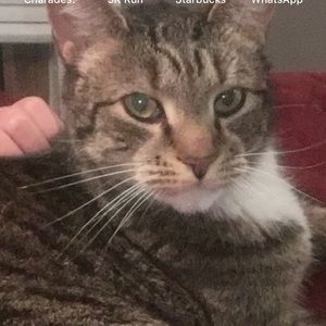 Meet your Posher, Isabella